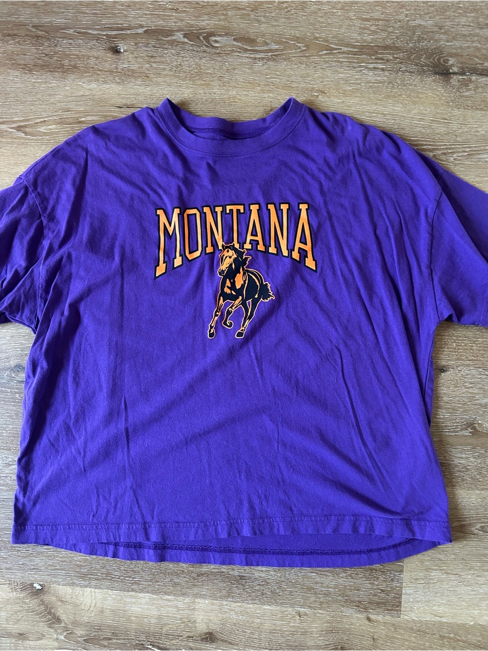 Urban Outfitters Purple Montana Horse Graphic T-Shirt